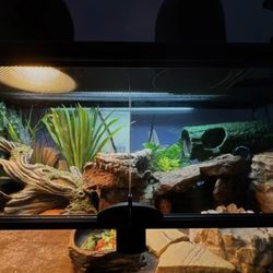 21 gallon open door tank with supplies! REPTILE!