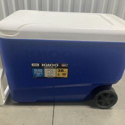 38 Qt Cooler Igloo