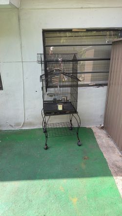 Bird Cage 