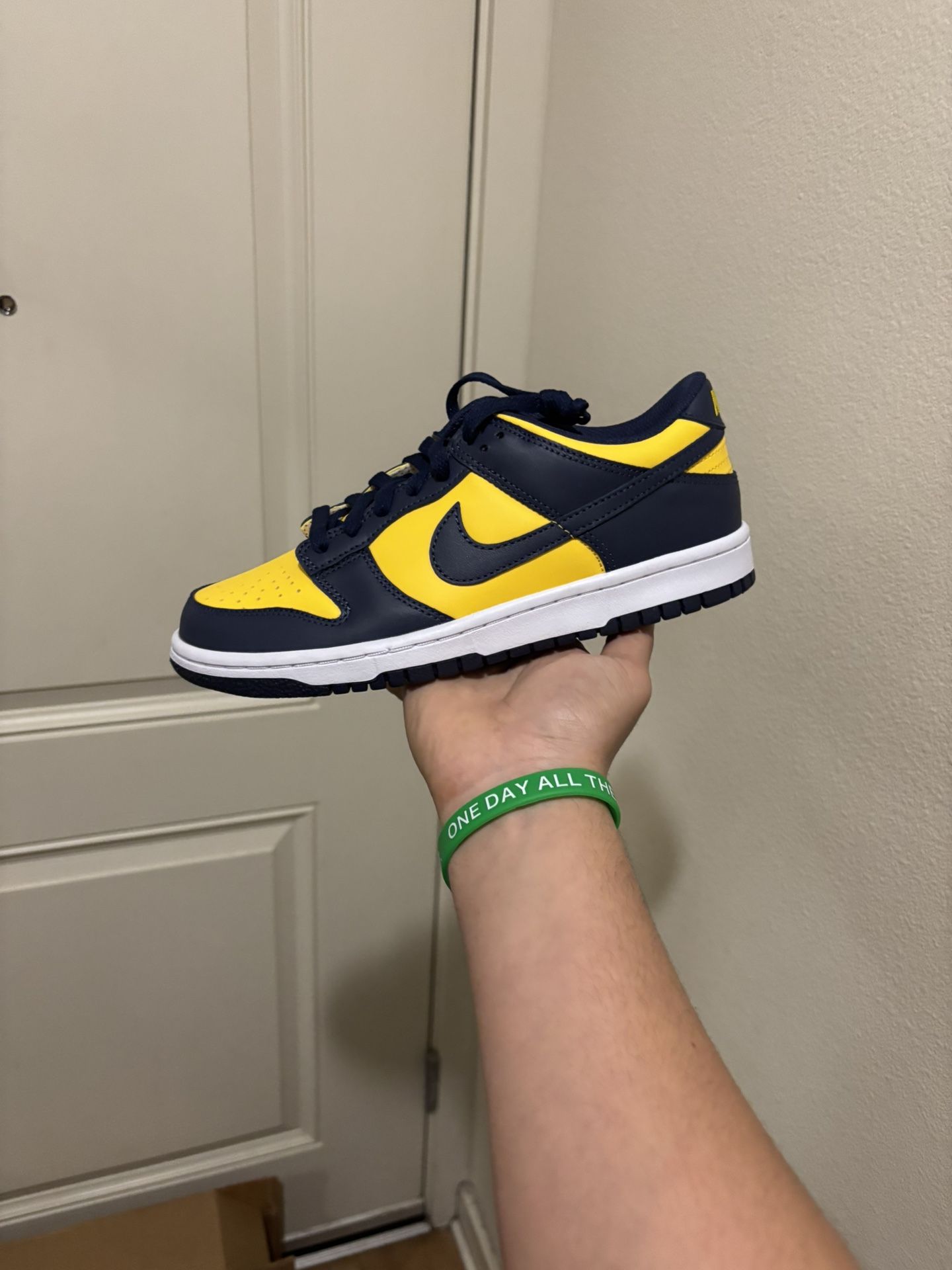 Nike Dunk Low Michigan