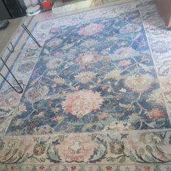 Like New 8x10 Big Area Rug 