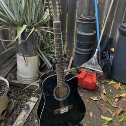 12 String Paul McCartney Guitar