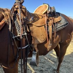 Roping Saddle