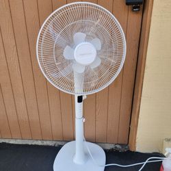 16" Pedestal Fan 
