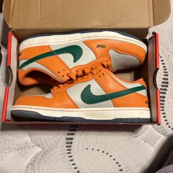 Famu “we Brag Different “ Dunks