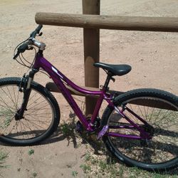 Trek Skye 