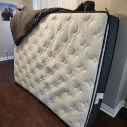 BRAND NEW QUEEN MATTRESS 