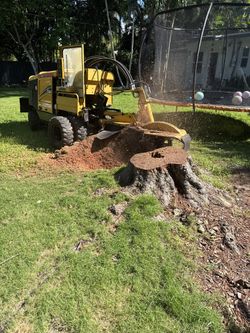 Grinding Stumps
