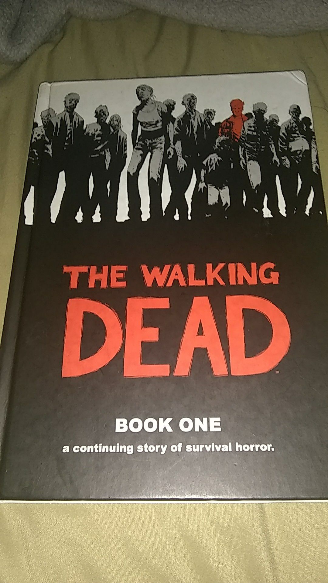 The walking dead book one