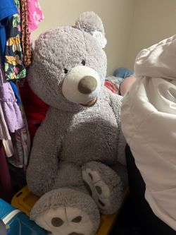 Teddy Bear