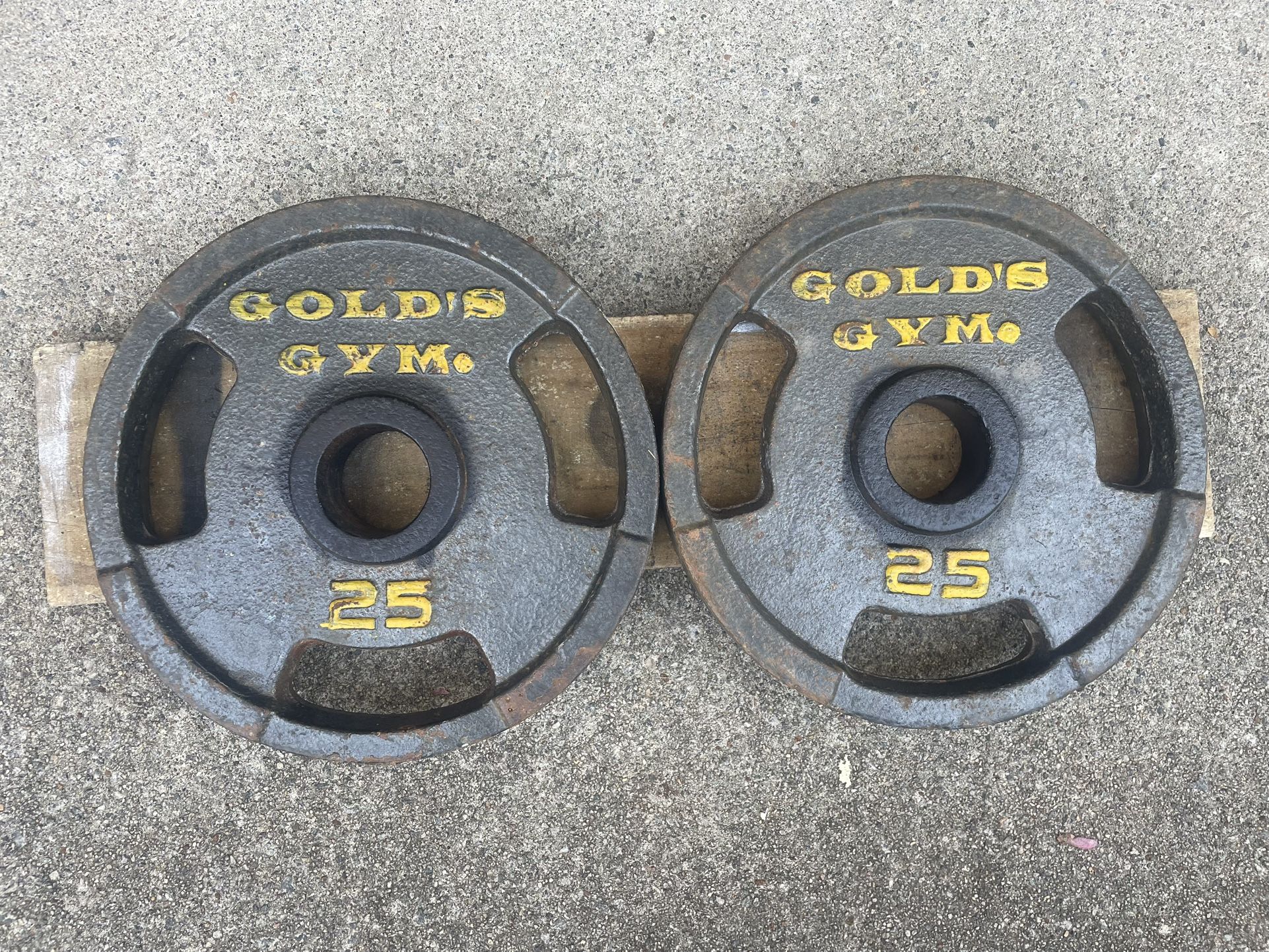 Olympic Weight Plates pair of 25s