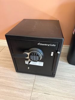 SentrySafe Black Electronic Keypad Home Safe