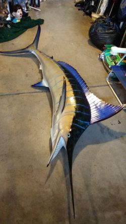 Swordfish blue marlin