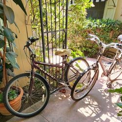 Twin Meridian Bicycles, (2)