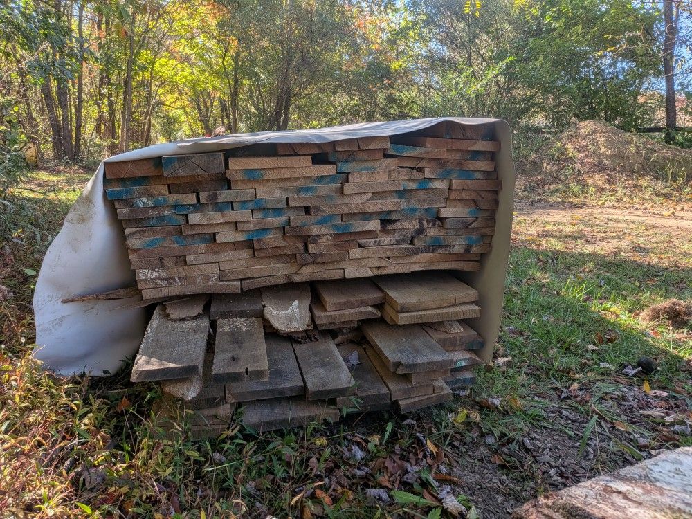 Poplar , Rough Sawn, 4/4 , 8-11' Over 800 Bd Ft, Blow Out Price