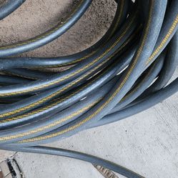 Hose 100 ft
