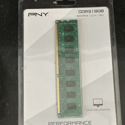 Pny  8 Gn Performance 