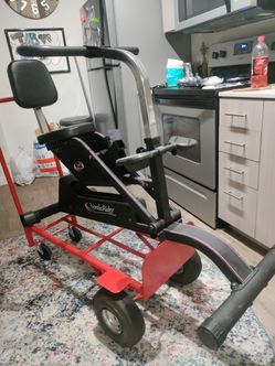 Nordic rider exercise online machine