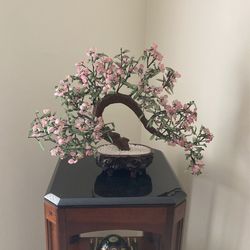 Oriental Jade Bonsai Tree 