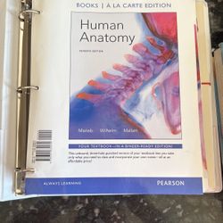 Human Anatomy Book