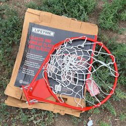 Lifetime Basketball Rim