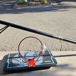 Lifetime pro court outdoor basketball hoop