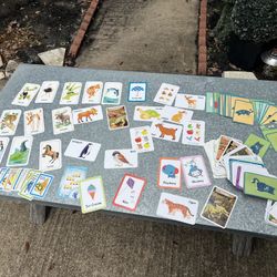 Educational cards for children 10$ All