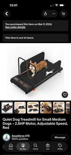 Doggie Treadmill