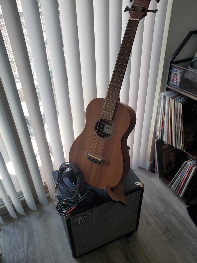Cordoba Mini Electric-Acoustic Bass, Boss 90 Degree Cable and Fender Rumble 40 Amp