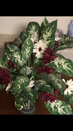 Floral arrangement