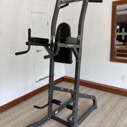 Hoist Fitness Heavy Duty Pull Up Dip Leg Raise Push-up Station