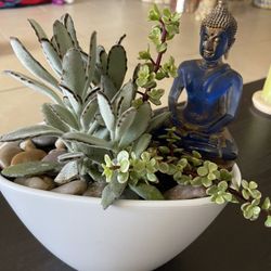 Succulent Plant With White Vase And Buddha 