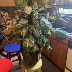 36” Artificial Monstera/Ivy Plant - Excellent Condition 