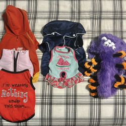 6 Small Dog/ Cat Crate