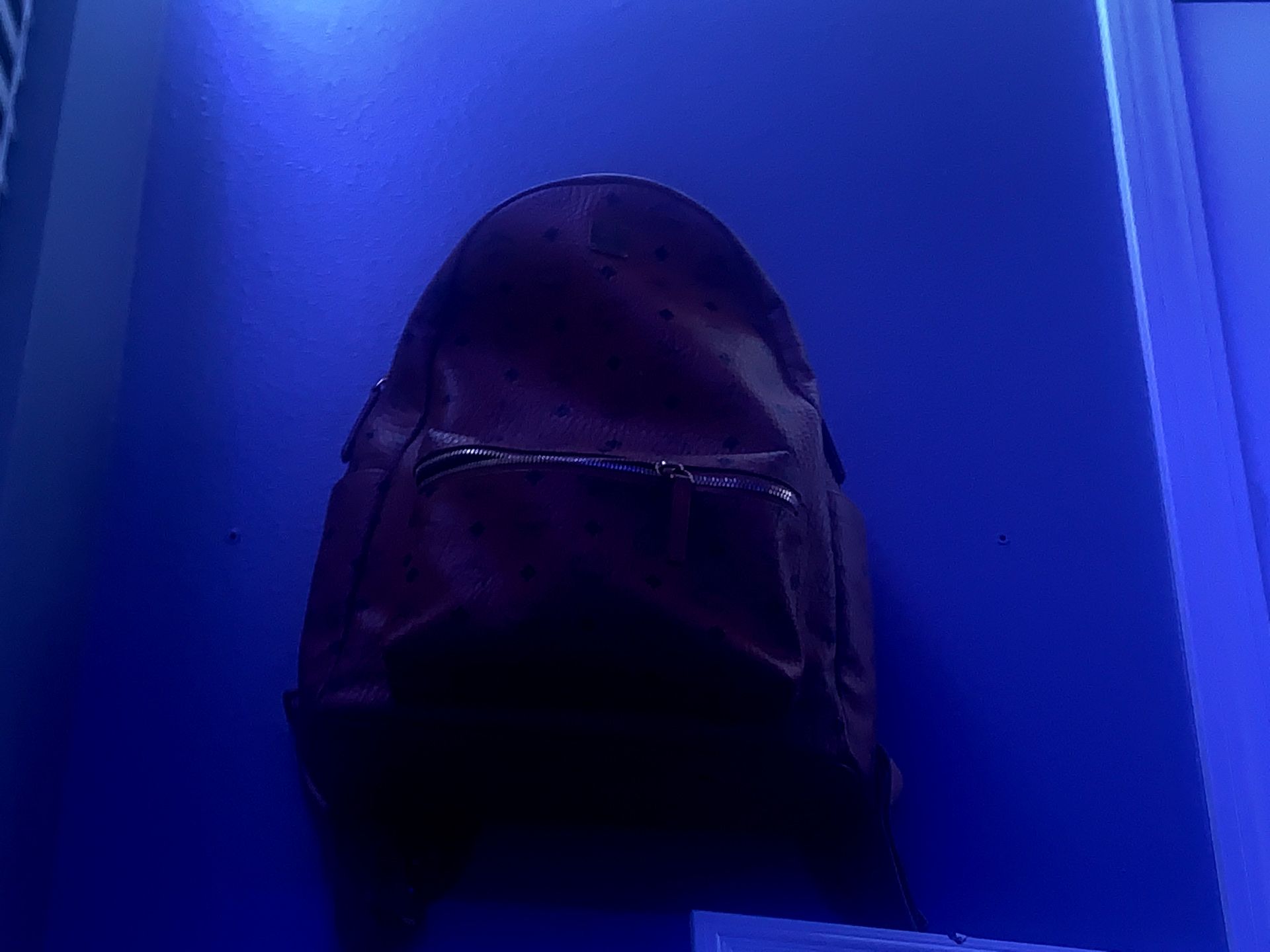 Mcm backpack