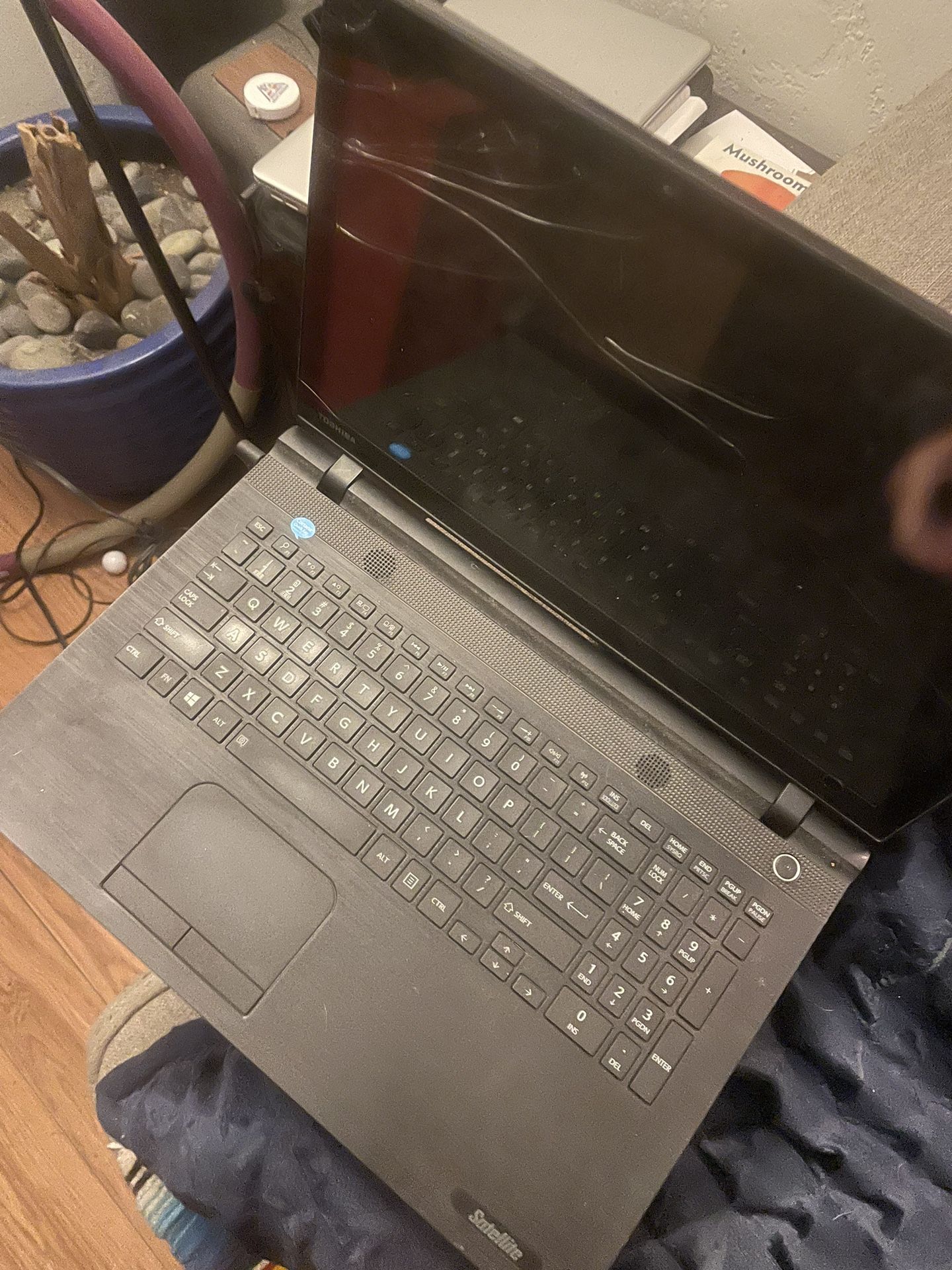 Toshiba Laptop Broken Screen