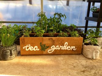 HERB CONTAINER GARDEN 💯 ORGANIC PERFECT MOTHERS DAY GIFT antique barn wood container with 7 ORGANIC PLANTS GROWN HERE TO PRODUCE HERE