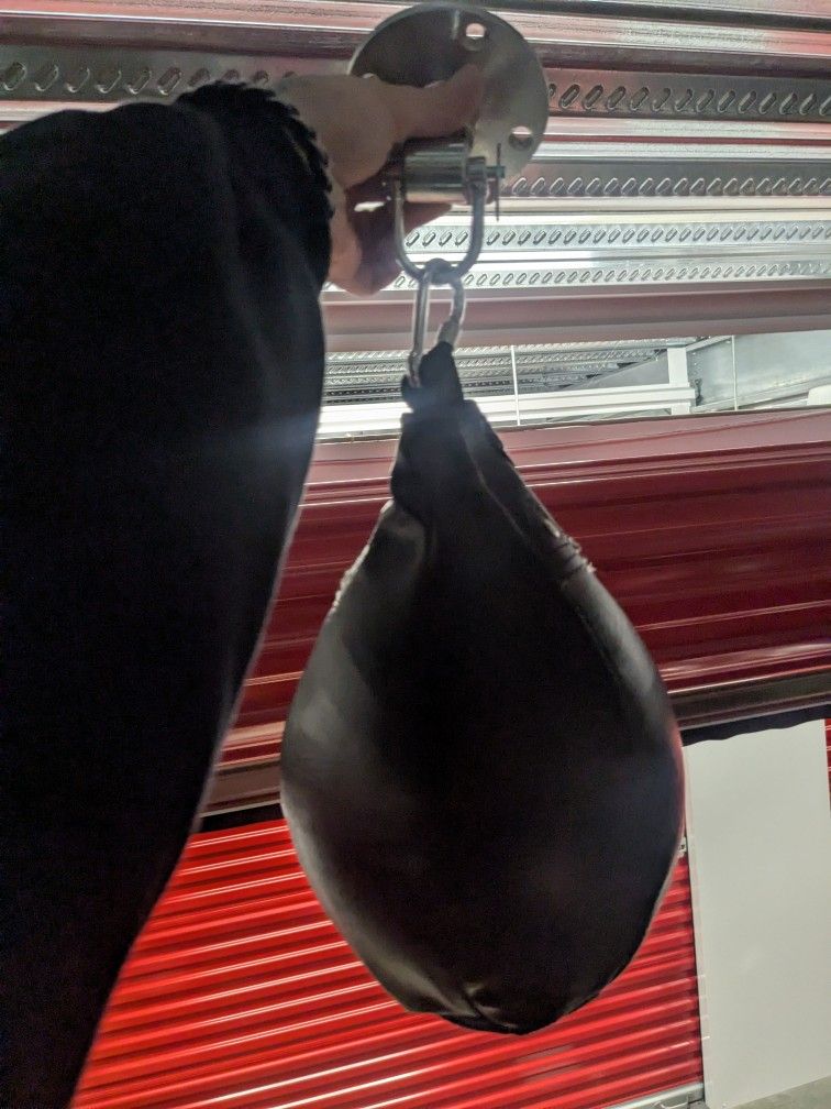 Speed Bag W/ Mount