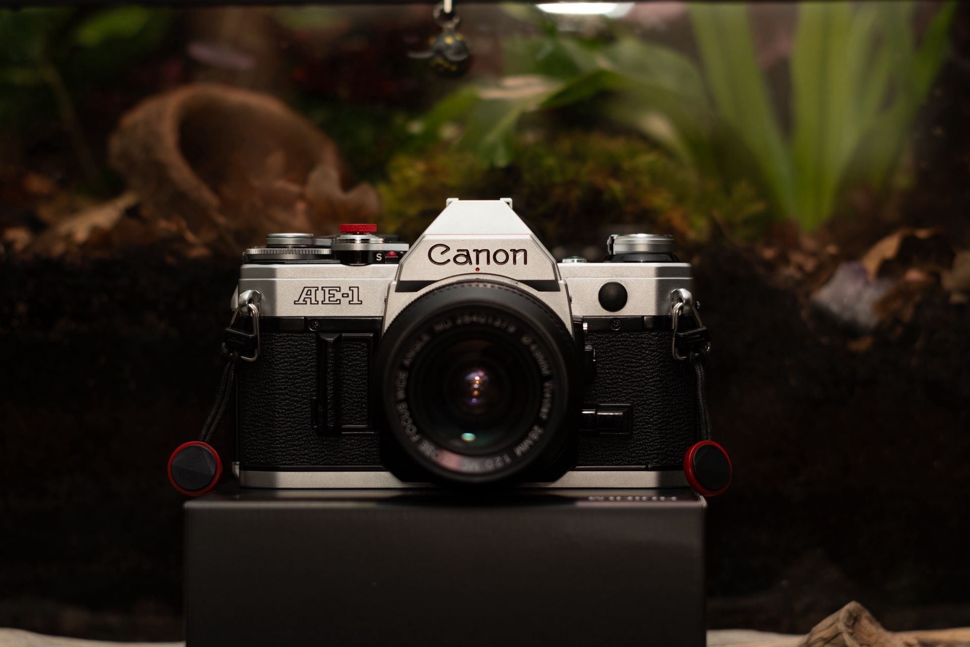 Canon AE-1 Bundle