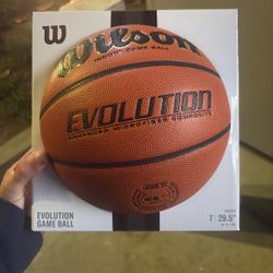 Wilson Evolution