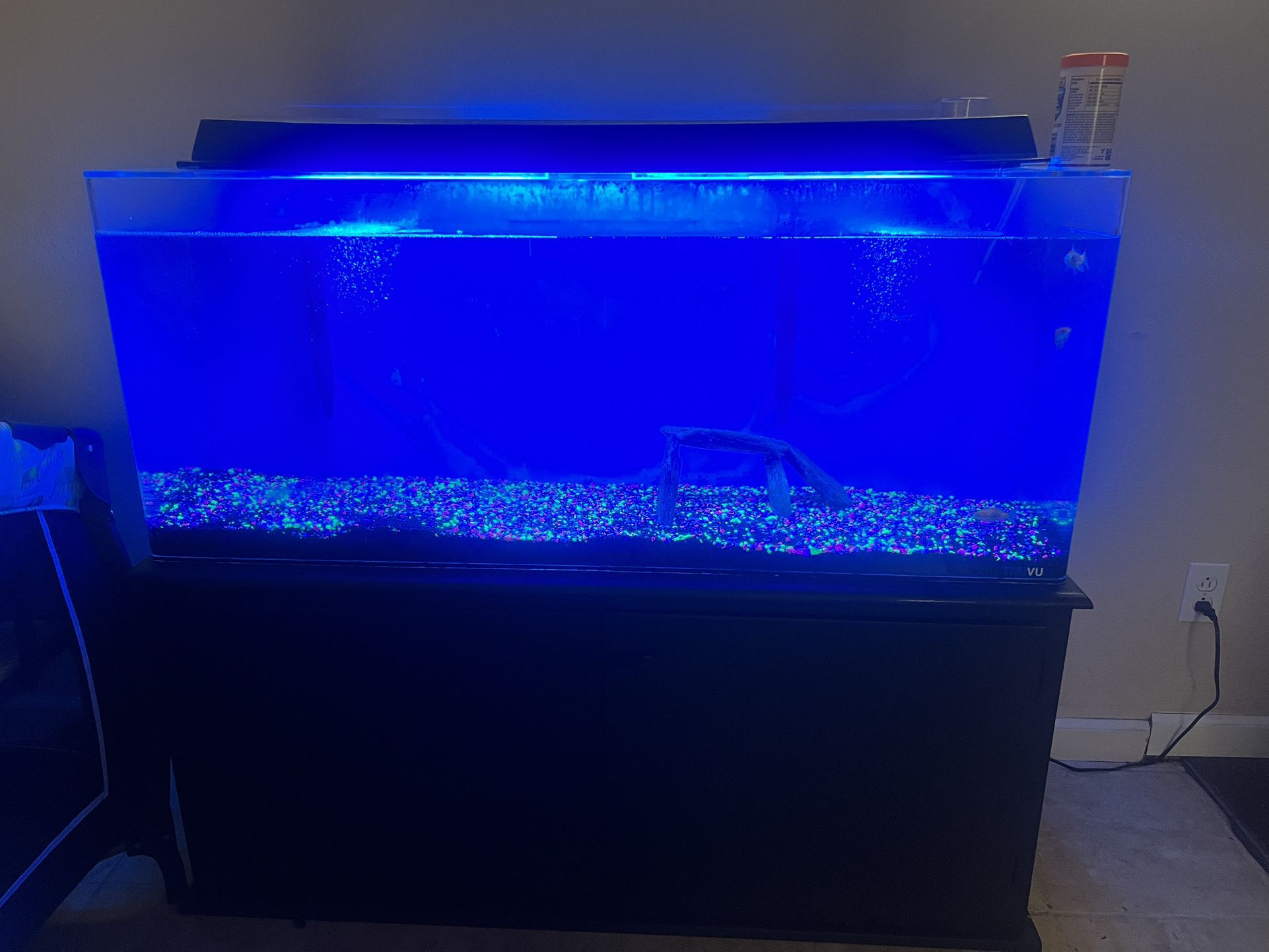 65 Gallon Plexi Glass Tank With Stand