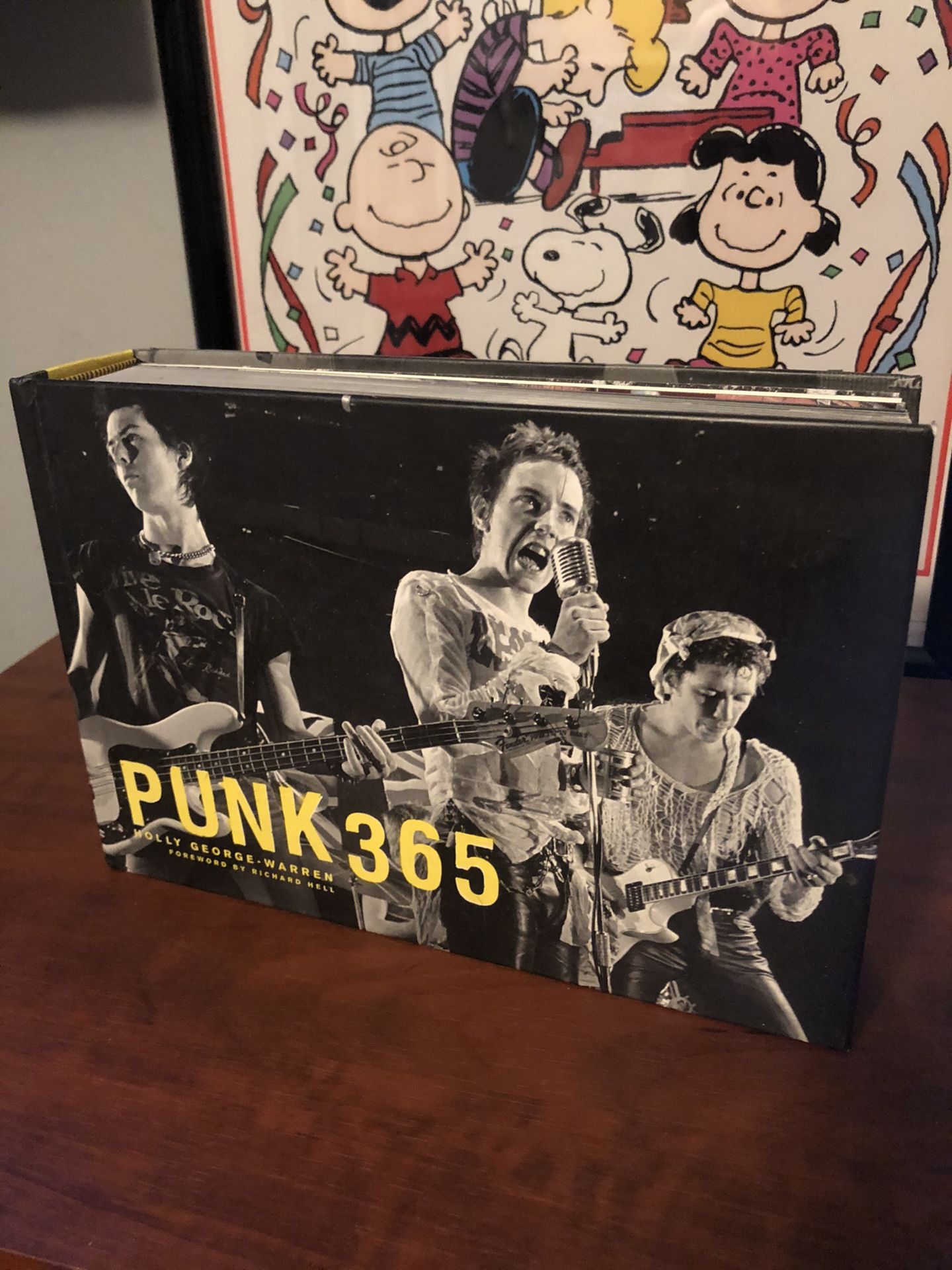 Punk 365 Hard Cover Photography Book