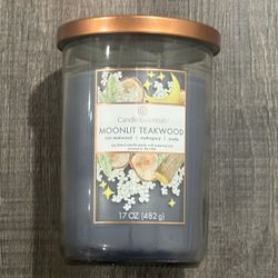 New Candle Essentials Blue Moonlit Teakwood Scented Double Wick Jar Candle