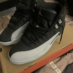 Air Jordan 12s 