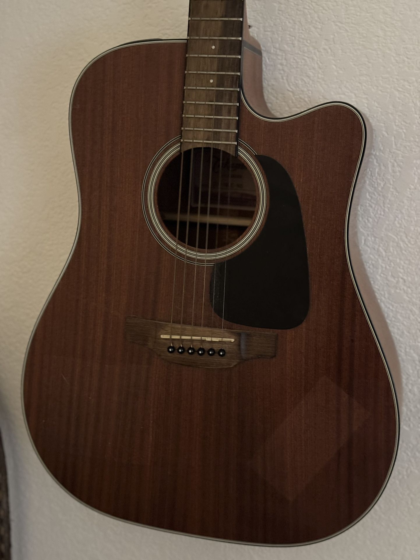 Takamine G Series