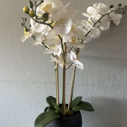 Orchid Faux Plant 