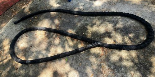 2" 50 battle rope/ work out Rope