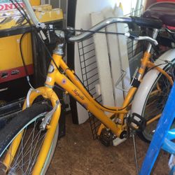 Beach Cruiser 