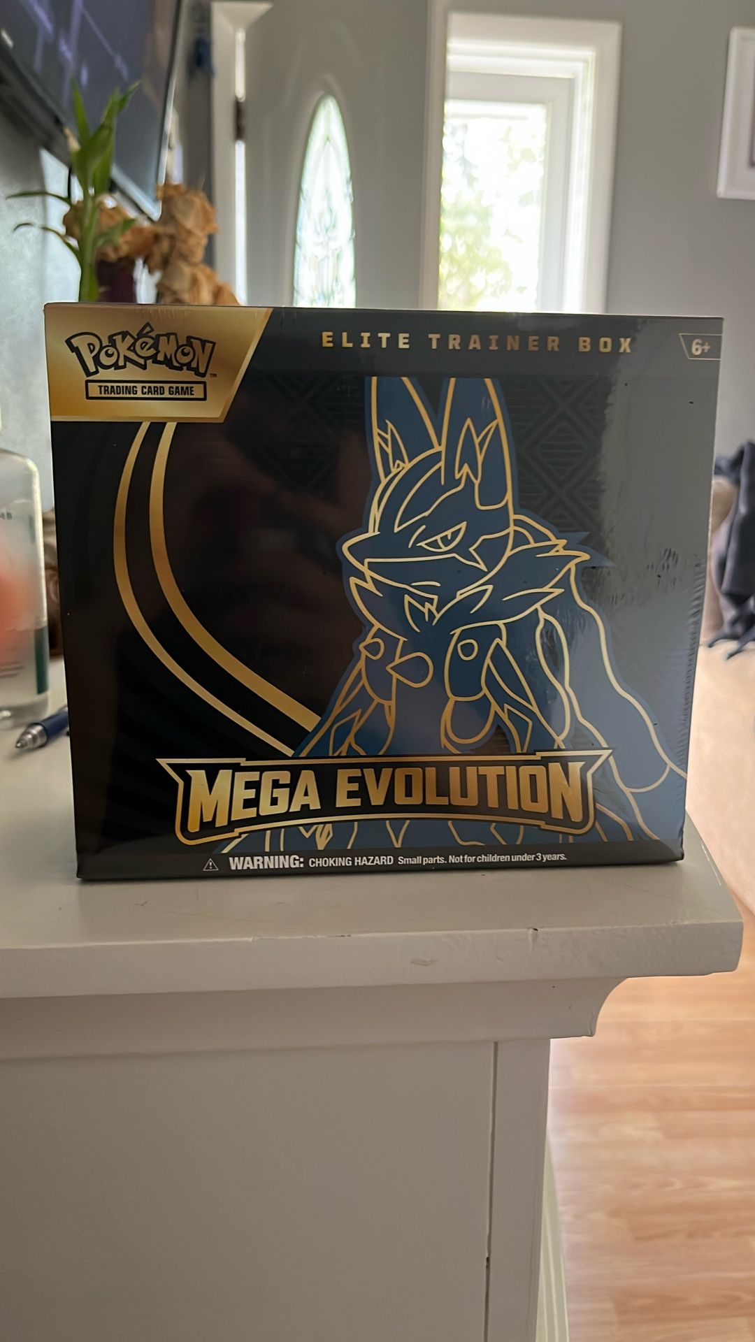Pokémon Mega Evolution ETB