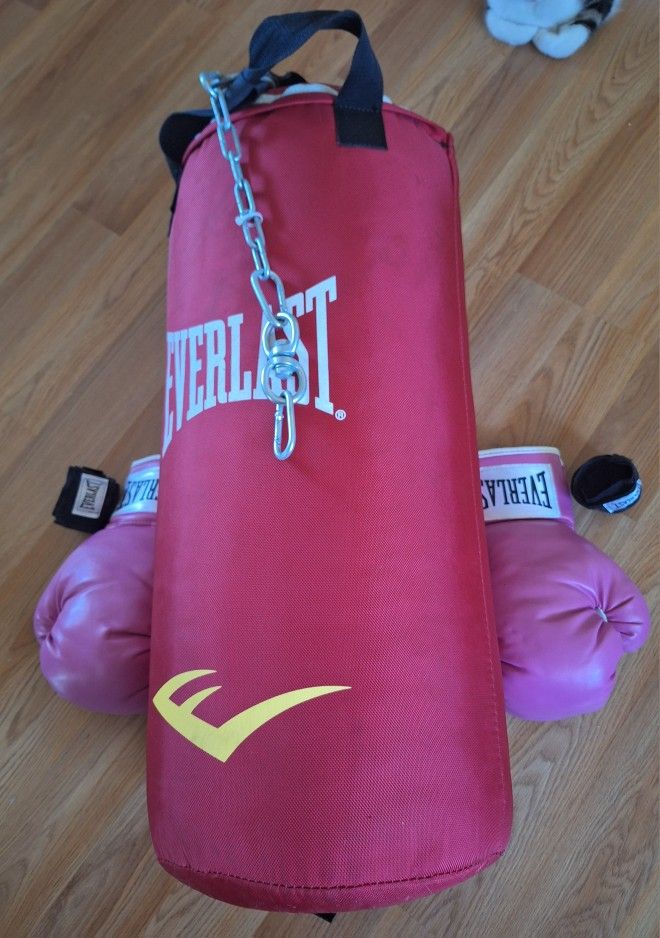 Punching Bag And Gloves
